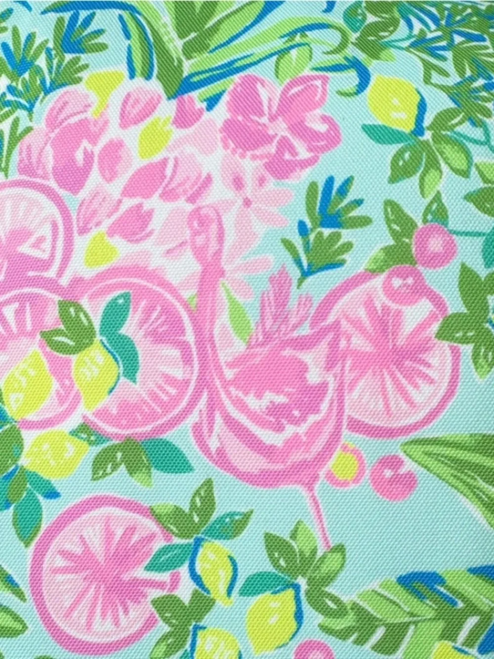 Lilly Pulitzer | Insulated Wine Carrier Beach Cooler Pool Fruity Flamingo Pink
